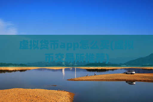 虚拟货币app怎么买(虚拟币交易所推荐)