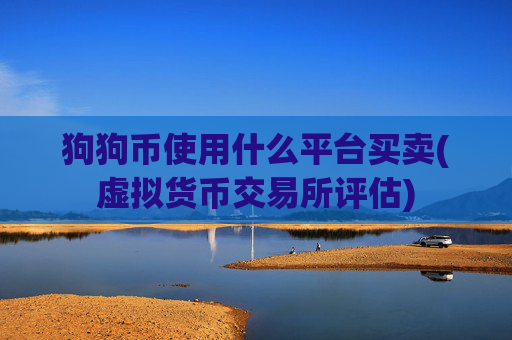 狗狗币使用什么平台买卖(虚拟货币交易所评估)