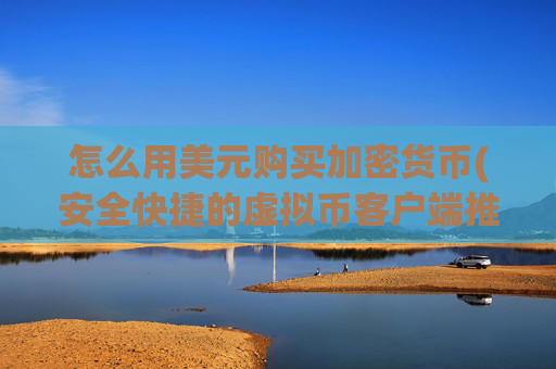 怎么用美元购买加密货币(安全快捷的虚拟币客户端推荐)