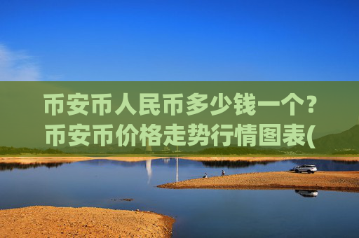 币安币人民币多少钱一个?币安币价格走势行情图表(现价5297.41元)