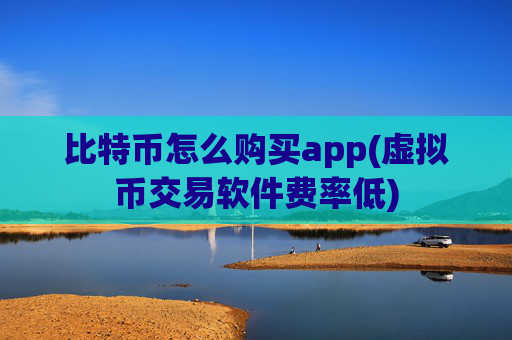 比特币怎么购买app(虚拟币交易软件费率低)