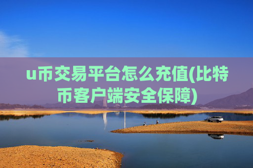u币交易平台怎么充值(比特币客户端安全保障)