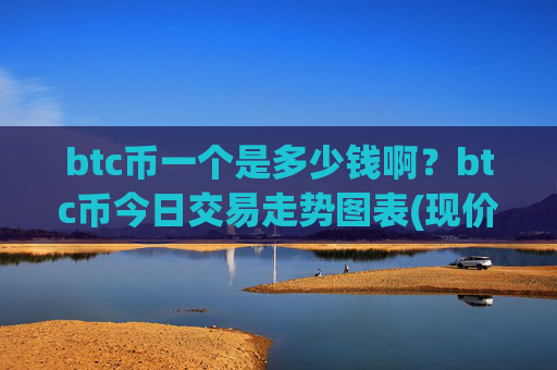 btc币一个是多少钱啊？btc币今日交易走势图表(现价709635.19元)