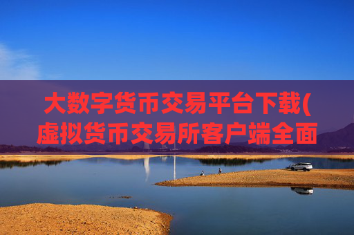 大数字货币交易平台下载(虚拟货币交易所客户端全面分析)
