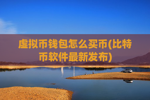 虚拟币钱包怎么买币(比特币软件最新发布)