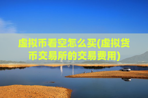 虚拟币看空怎么买(虚拟货币交易所的交易费用)
