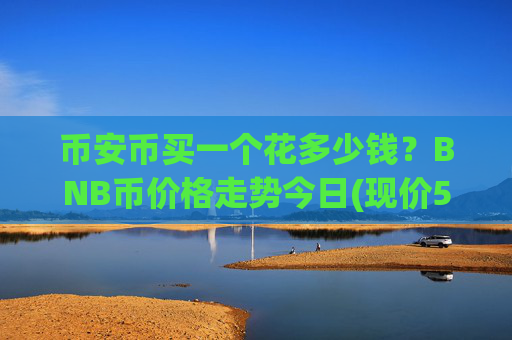 币安币买一个花多少钱？BNB币价格走势今日(现价5295.02元)