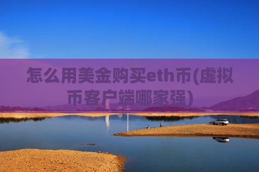 怎么用美金购买eth币(虚拟币客户端哪家强)