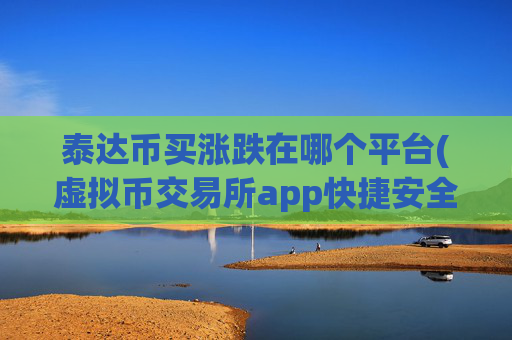 泰达币买涨跌在哪个平台(虚拟币交易所app快捷安全)