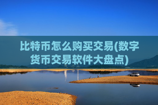 比特币怎么购买交易(数字货币交易软件大盘点)