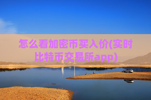 怎么看加密币买入价(实时比特币交易所app)