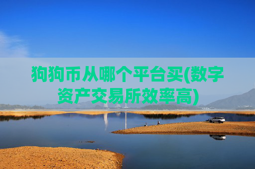 狗狗币从哪个平台买(数字资产交易所效率高)