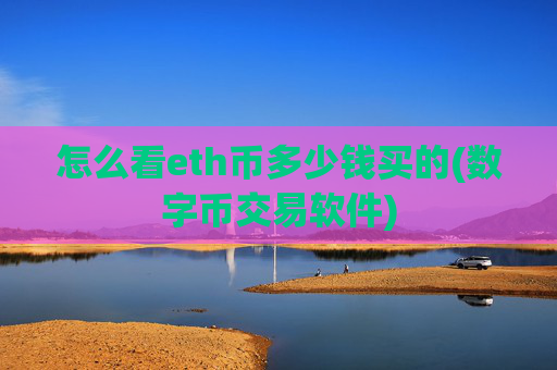 怎么看eth币多少钱买的(数字币交易软件)