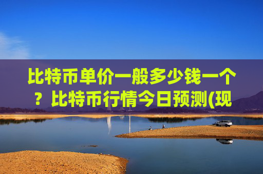 比特币单价一般多少钱一个？比特币行情今日预测(现价710146.81元)