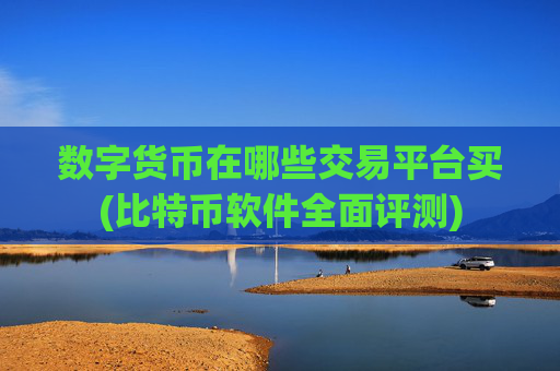 数字货币在哪些交易平台买(比特币软件全面评测)