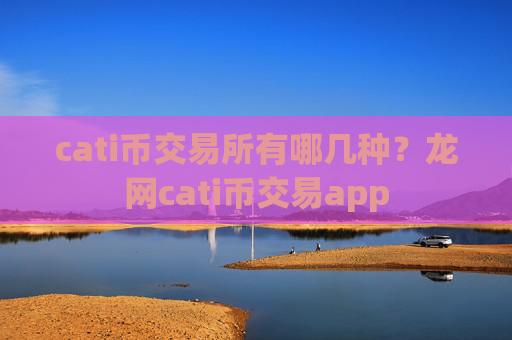 cati币交易所有哪几种?龙网cati币交易app