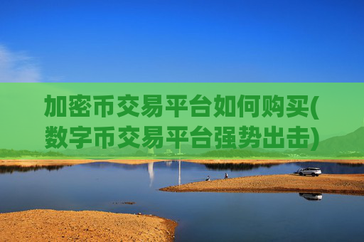 加密币交易平台如何购买(数字币交易平台强势出击)