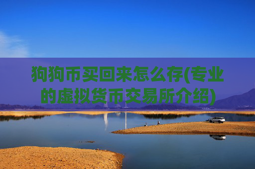 狗狗币买回来怎么存(专业的虚拟货币交易所介绍)