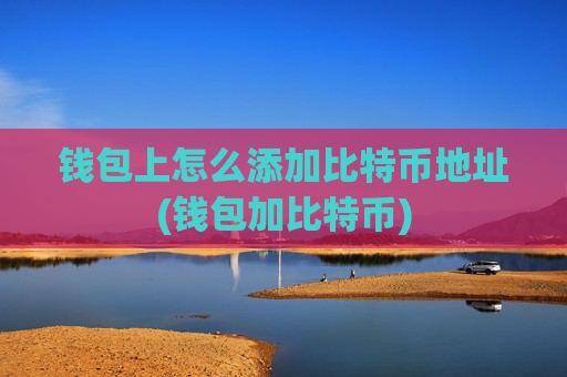 钱包上怎么添加比特币地址(钱包加比特币)