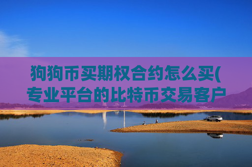 狗狗币买期权合约怎么买(专业平台的比特币交易客户端)