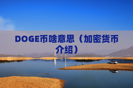 DOGE币啥意思(加密货币介绍)