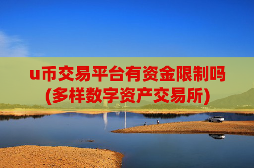 u币交易平台有资金限制吗(多样数字资产交易所)