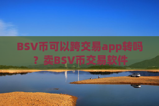 BSV币可以跨交易app转吗？卖BSV币交易软件