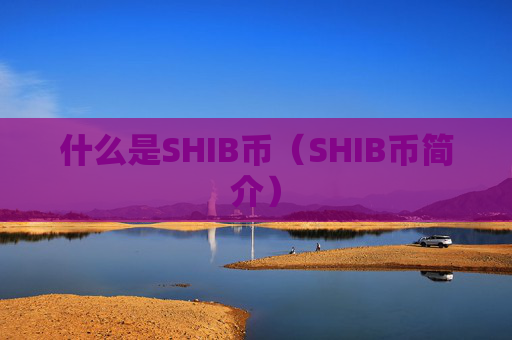 什么是SHIB币(SHIB币简介)
