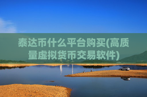 泰达币什么平台购买(高质量虚拟货币交易软件)