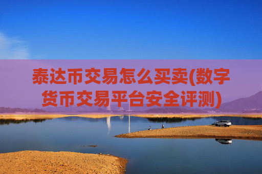 泰达币交易怎么买卖(数字货币交易平台安全评测)
