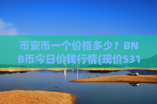 币安币一个价格多少?BNB币今日价钱行情(现价5312.1元)