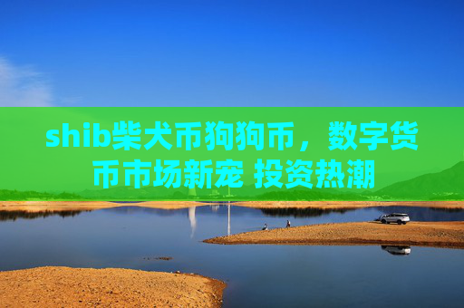 shib柴犬币狗狗币，数字货币市场新宠 投资热潮