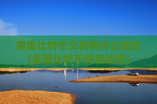美国比特币交易用什么钱包(美国比特币钱包选择)
