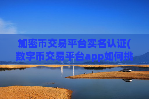 加密币交易平台实名认证(数字币交易平台app如何挑选)