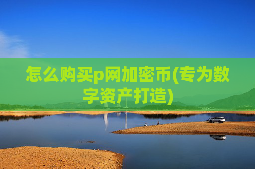 怎么购买p网加密币(专为数字资产打造)
