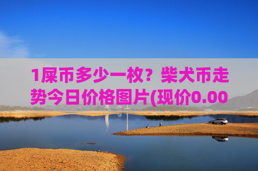 1屎币多少一枚？柴犬币走势今日价格图片(现价0.00022365元)