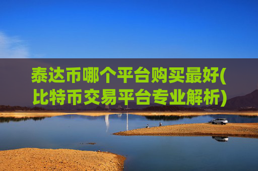 泰达币哪个平台购买最好(比特币交易平台专业解析)