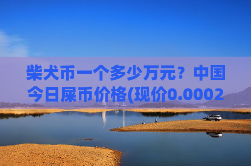 柴犬币一个多少万元?中国今日屎币价格(现价0.0002254元)