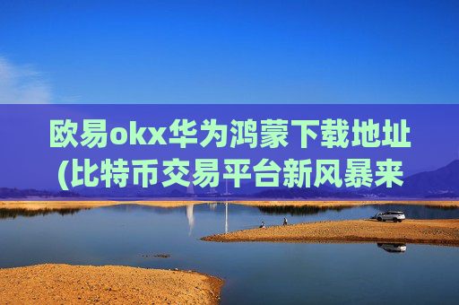 欧易okx华为鸿蒙下载地址(比特币交易平台新风暴来袭)
