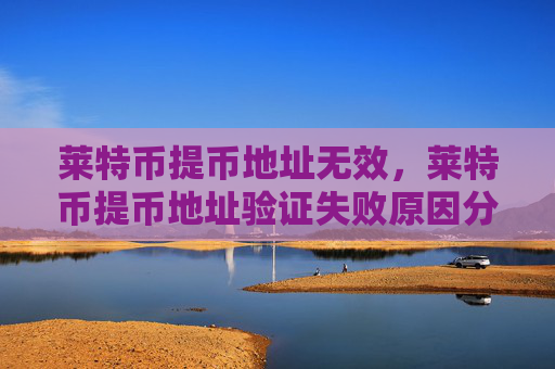 莱特币提币地址无效，莱特币提币地址验证失败原因分析