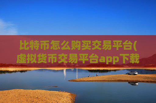 比特币怎么购买交易平台(虚拟货币交易平台app下载)