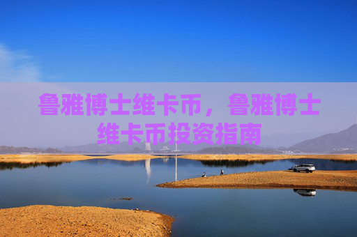 鲁雅博士维卡币,鲁雅博士维卡币投资指南