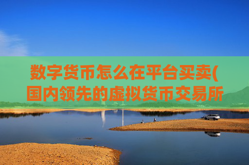 数字货币怎么在平台买卖(国内领先的虚拟货币交易所)