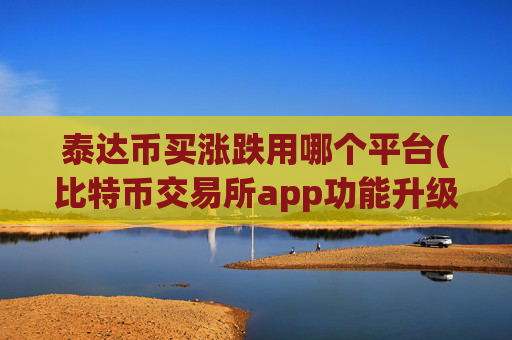 泰达币买涨跌用哪个平台(比特币交易所app功能升级)