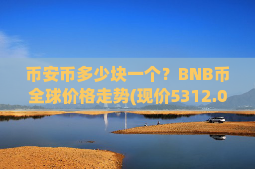 币安币多少块一个？BNB币全球价格走势(现价5312.08元)