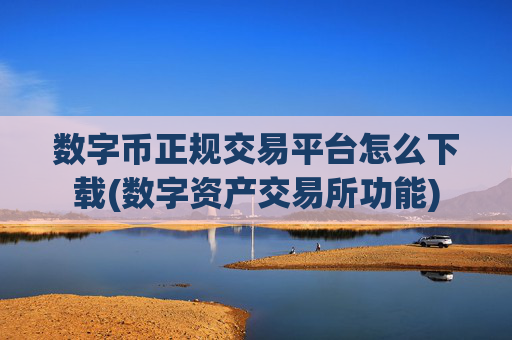 数字币正规交易平台怎么下载(数字资产交易所功能)