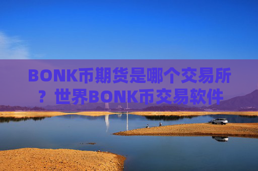 BONK币期货是哪个交易所?世界BONK币交易软件