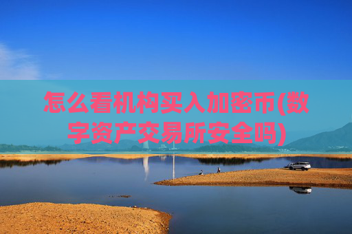 怎么看机构买入加密币(数字资产交易所安全吗)