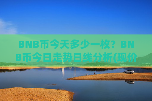 BNB币今天多少一枚?BNB币今日走势日线分析(现价4851.58元)