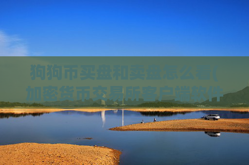狗狗币买盘和卖盘怎么看(加密货币交易所客户端软件)